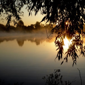 Venda de cartas - Lake Sunset