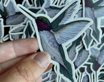 hummingbird sticker, for car, waterproof, for planner, art, for water bottle, tumbler, laptop, vinyl sticker, ruby hummingbird, nature gift