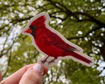 cardinal gift, cardinal sticker, bird sticker for laptop, for water bottle, vinyl sticker for cars, for cups, nature, gift for women, magnet