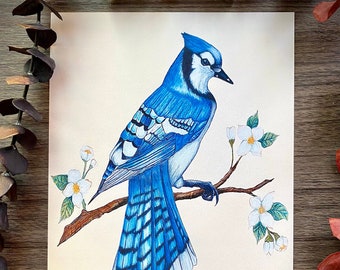 blue jay art, blue jay print, blue bird art, bird art print, framable art print, bird lover gift, nature lover gift, mother's day art, 5x7