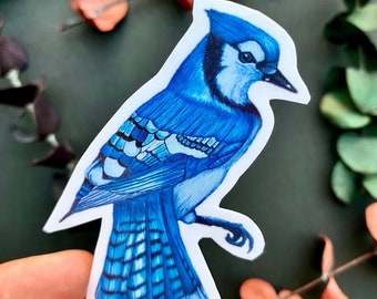 blue jay sticker, art, vinyl waterproof sticker, bird stickers, for hydroflask, car, laptop, book, planners, water bottles, gift, magnet