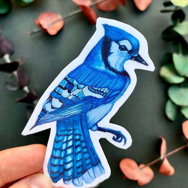 blue jay sticker, art, vinyl waterproof sticker, bird stickers, for hydroflask, car, laptop, book, planners, water bottles, gift for nature