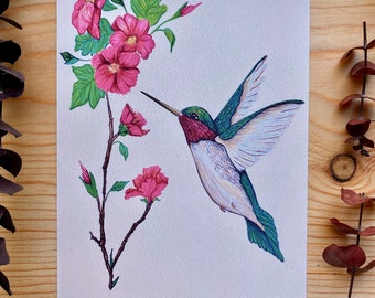 hummingbird art, print, gifts, 5x7 print, vintage, pink flower wall art, gift for mom, for friend, birthday, nature art print, framable