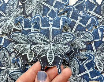 mantis sticker, praying mantis art, waterproof sticker, insect, bug, taxidermy, car, laptop, gift for nature lover, for sister, boyfriend
