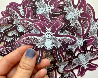 beetle sticker, bug, insect, waterproof, for laptop, for water bottle, for car, nature lover, gift for her, for him, scrapbook, taxidermy