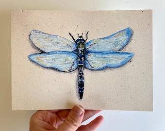 dragonfly art print, dragonfly gifts, vintage art, insect art, bug art print, cottage core room decor, color pencil drawing, home decor gift