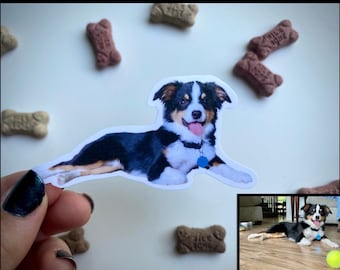 pet sticker, custom, magnets, waterproof, pet portrait, stickers, water bottle, cat, dog, pet gift for dog owners, for cats, for laptop