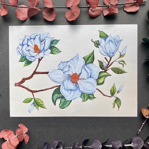 magnolia flower, magnolia print, leaves, artwork, framed print, wall art, vintage, friend gift, for her, nature print, botanical, Louisiana