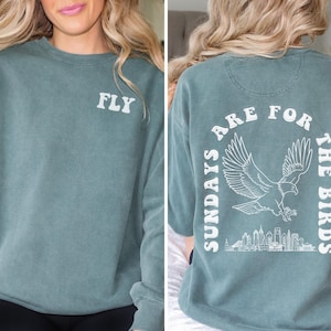 Philadelphia Eagles Football Sweatshirt, Toddler Crewneck, Philadelphia Crewneck Sweatshirt, Philadelphia Pennsylvania Football Sweatshirt