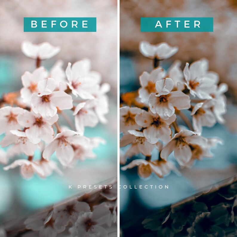 5 Japan Presets LIGHTROOM Presets Bundle Mobile Preset Etsy