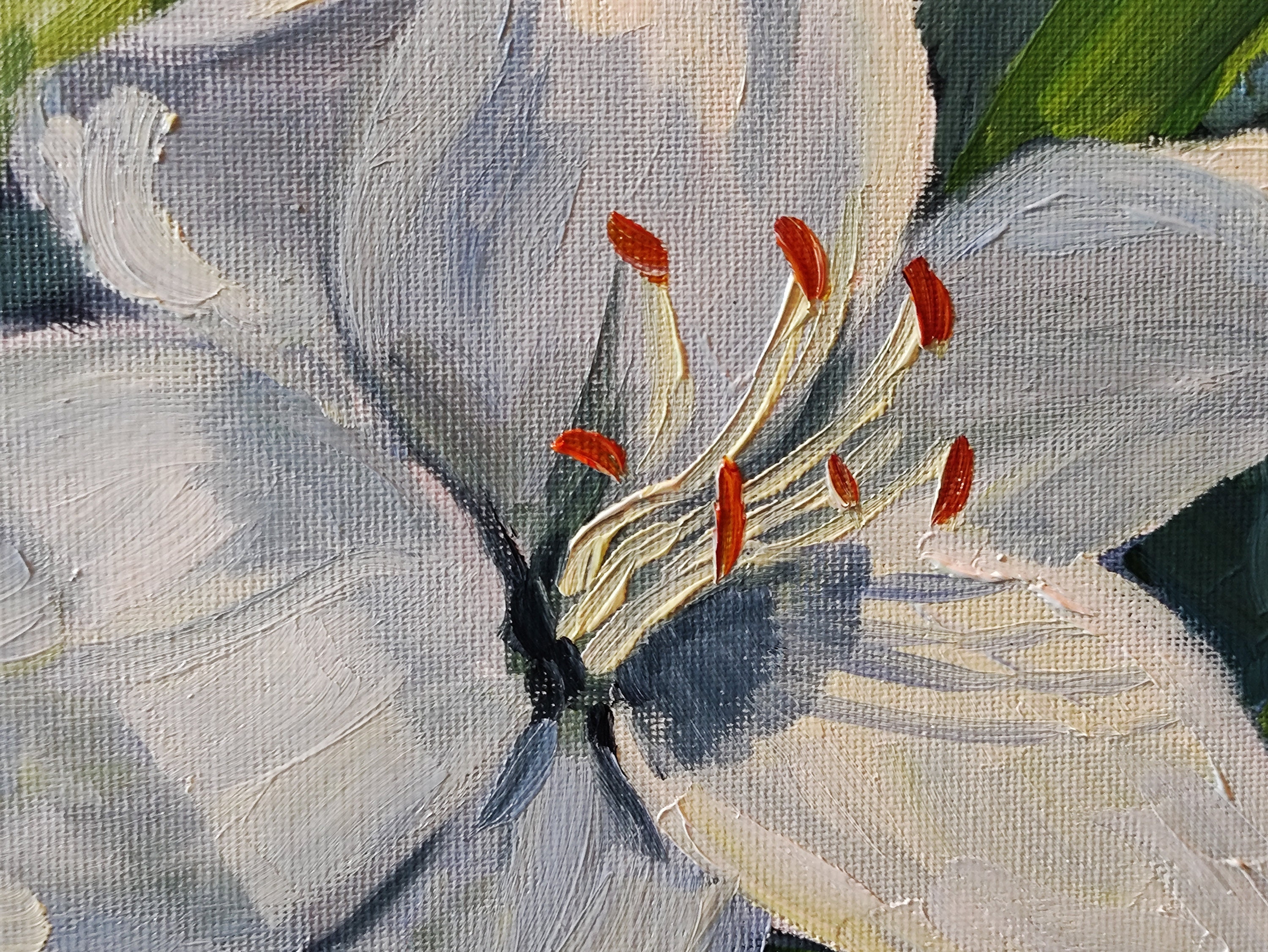 油絵、白いユリの花、花の風景、キャンバス張り、13.8 x 17.7 インチ