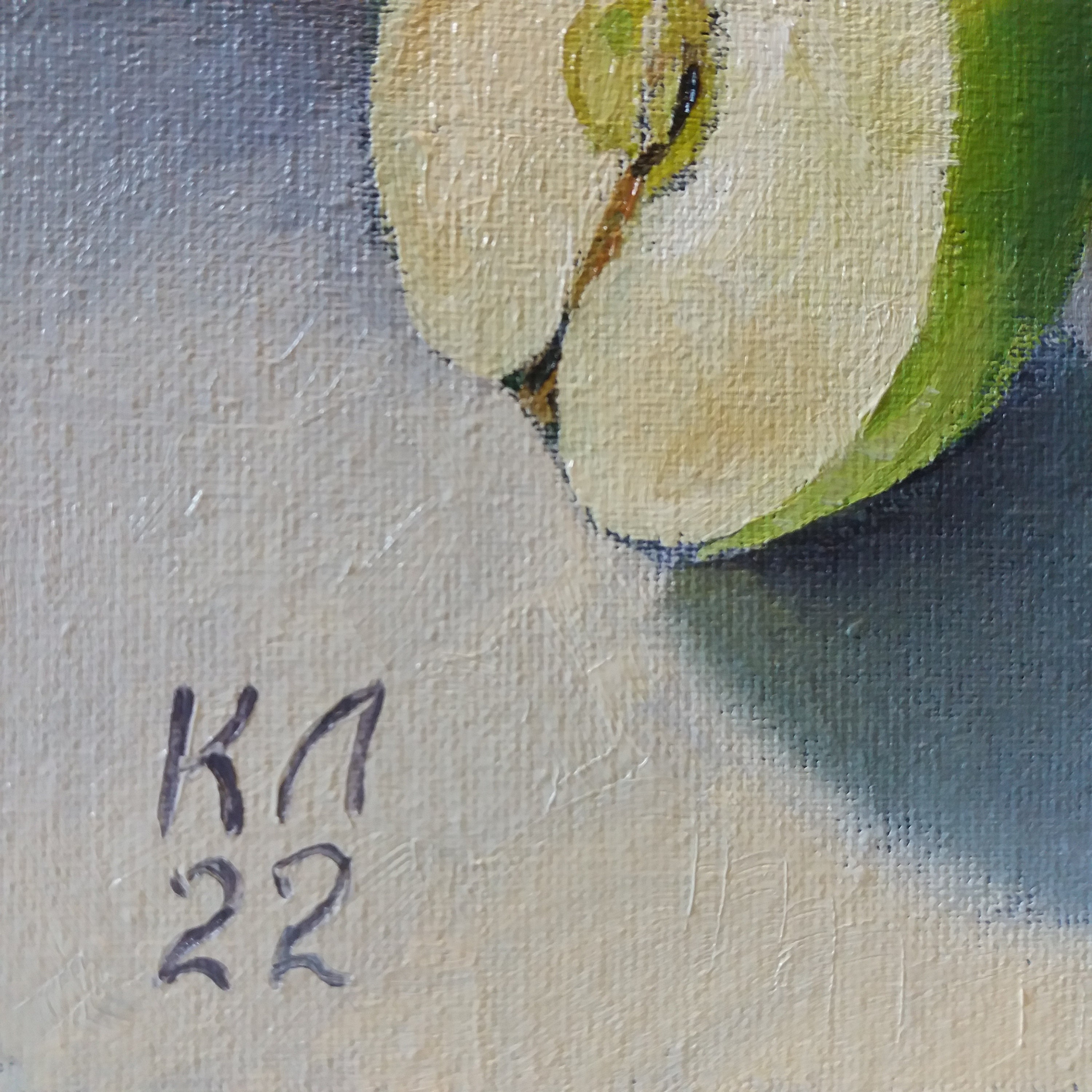 油絵　果物 d245e0214dc4086108f635f37078e6