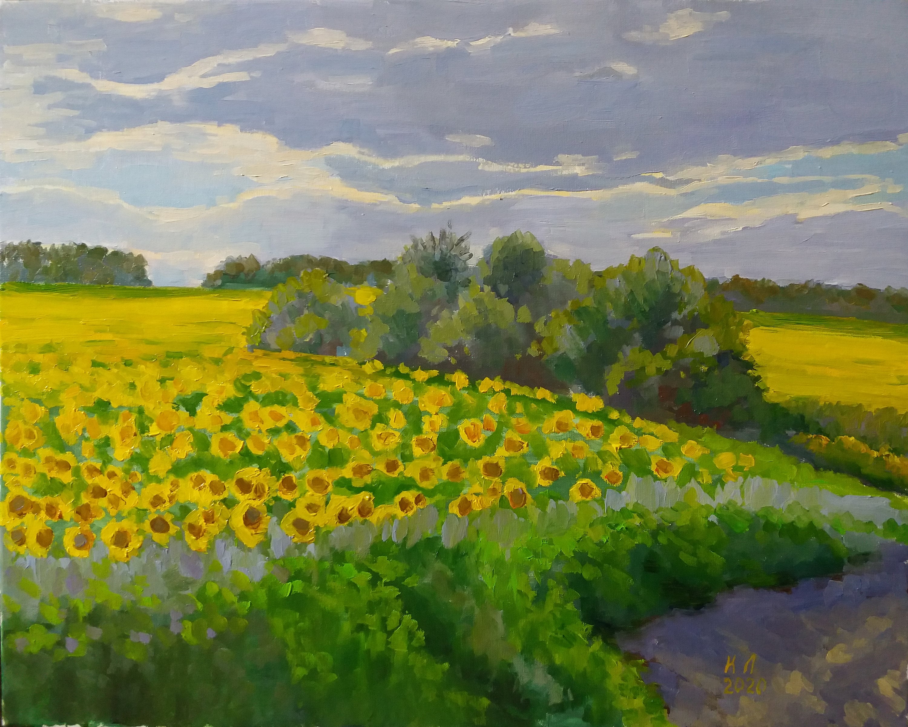 油絵、ウクライナの夏の風景、ひまわり畑、キャンバスに描かれた花の