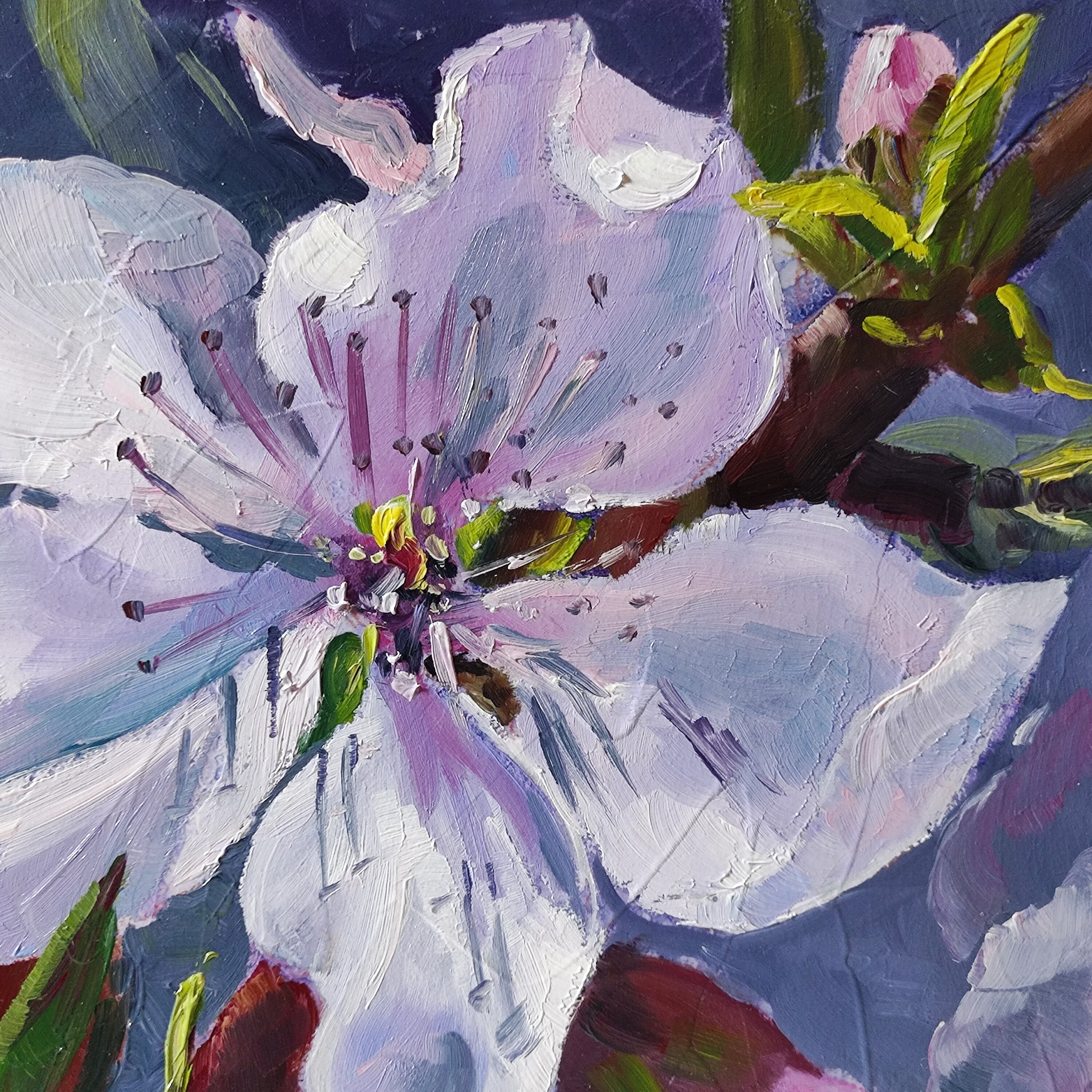 桃の花の油絵、カードに描かれたピンクの花、8 x 8インチ、庭の風景