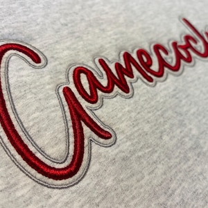 May include: A gray sweatshirt with the word "Gamecocks" embroidered in red.