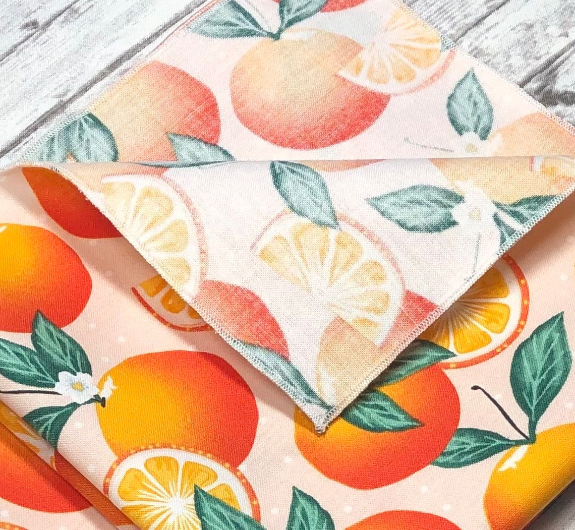 Orange Citrus Cloth Dinner Napkins Set of 2 4 6 Farmers Etsy