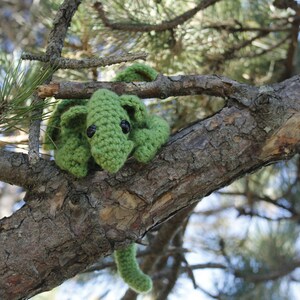 Newborn Dragon, looking to be your companion on your next adventure! Loves to listen to stories, especially if it includes handsome dragons!