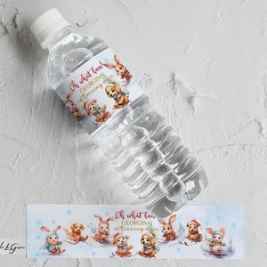Étiquette de bouteille d'eau de fête d'anniversaire sur le thème de Noël - Oh, c'est amusant ! Idéal pour les fêtes en traîneau - Modifiable et personnalisable, WBA3