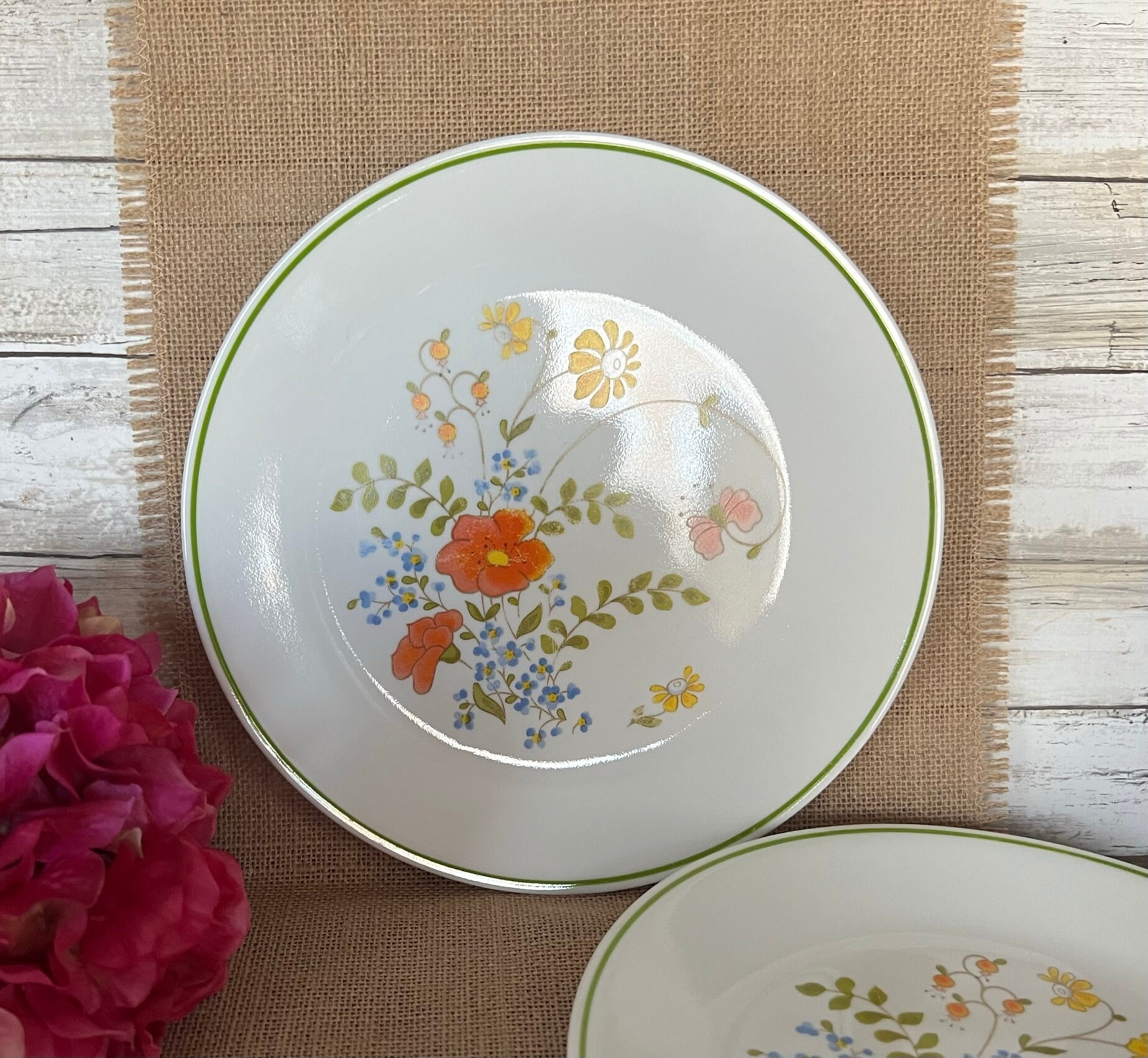 Set of 5 Vintage matching dinner plates made by Danmers Corelle ware type