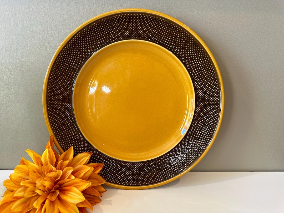 食器 Aurora HARMONY HOUSE CHINA dinner plate il_1080xN.6361165166_hghx.jpg