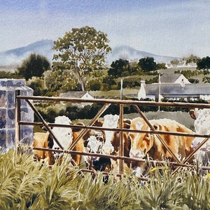 Bessie's Family. Pastoral scene of cows. Farm life. image 2