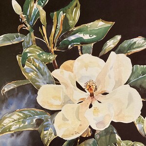 Elegant Magnolias II. Southern blossoms image 2