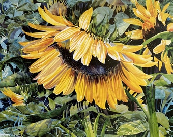 Sunflowers. Ukraine national flower.