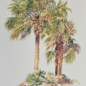 Palmetto Palm Trees I. Pairs nicely with Palmetto Palms II. Sabal palmetto. Cabbage palm.