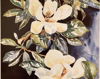 Elegant Magnolias I. Southern blossoms