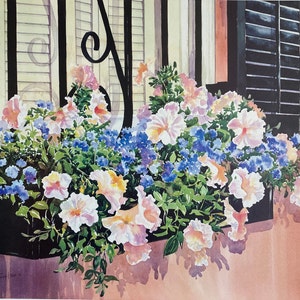 Charleston Window Box image 1