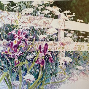 Iris and Lace flowers add life to a white wood fence