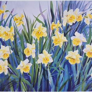 Daffodils image 1
