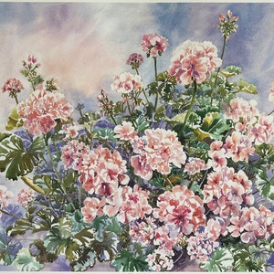 Geranium flowers, sometimes known as cranesbills, put on a pretty show in pink