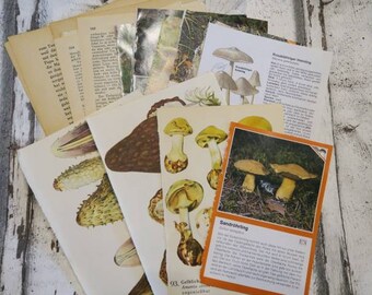 Vintage Papier Set Pilz / Junk Journal Kit