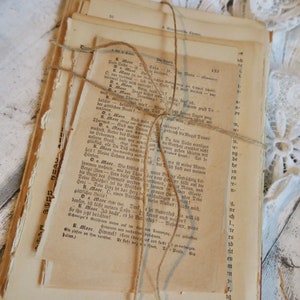 Kit diario spazzatura da 50 pezzi, pagine di libri vintage