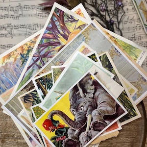 Junkjournal Sammelbilder Vintage