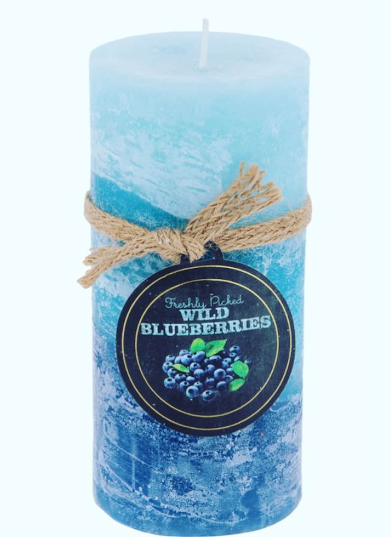 Wild Blueberries 6 Highly Scented Large 1lb Pillar Candle Etsy