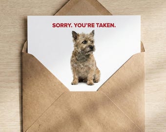 Sorry You’re Taken” funny dog greeting card