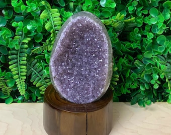 May include: A large, oval amethyst geode with a deep purple crystal interior, displayed on a dark brown wooden stand. The geode's exterior is a lighter shade of purple. The background features lush green foliage.