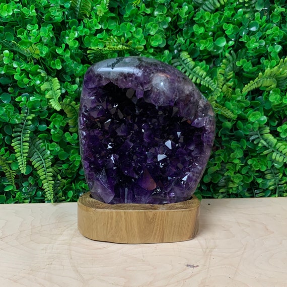 木製スタンド付き大型パープルアメジストカテドラルクラスター - 10.5