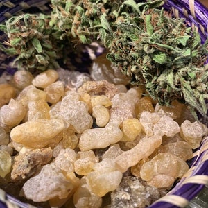 May include: A close-up of a purple woven basket filled with small, light brown, irregularly shaped pieces of frankincense resin. Two green cannabis buds are also visible in the basket.