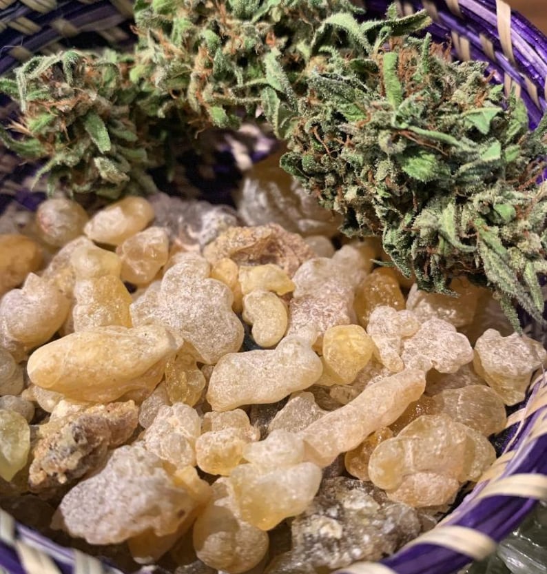 May include: A close-up of a purple woven basket filled with small, light brown, irregularly shaped pieces of frankincense resin. Two green cannabis buds are also visible in the basket.