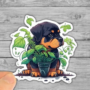 Rottweiler Vinyl Sticker, Plant Vinyl Sticker, Puppy Sticker, Dog Sticker