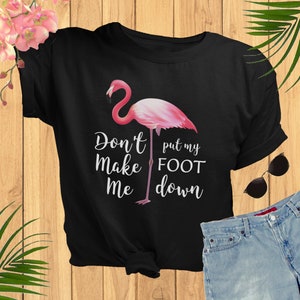 Flamingo Shirt Don't Make Me Put My Foot Down Funny - Etsy