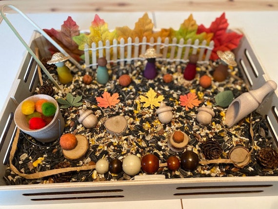 Fall Sensory Bin Kit
