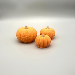 Concrete Pumpkins | Modern Fall Decor | Halloween Gift | Rustic | Thanksgiving Table | Mini Pumpkins | Autumn Decor | Childrens Crafts