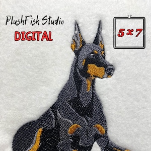 Dobermann dog embroidery design. Doberman machine embroidery. Dobermann figure digital design. Hoop 5x7