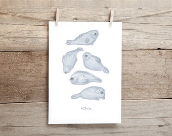 Poster, poster A4, picture, living room, children's picture, wall decoration, children's room, seals, seals & sea