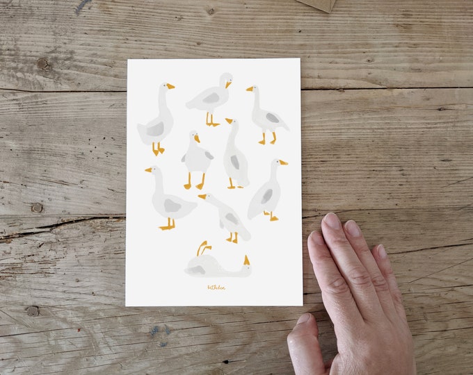 Postcard, Poster A5, Geese