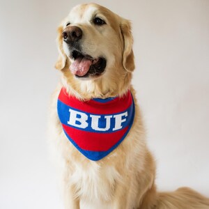 Könnte beinhalten: Ein Golden Retriever-Hund trägt ein rot-weiß-blaues BUF-Bandana. Der Hund sitzt und schaut zur Seite, die Zunge heraus. Das Bandana hat eine dreieckige Form.